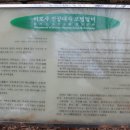 비로사진공대사보법탑비 이미지