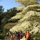 희망나래 장애인복지관 이미지