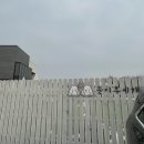 눈이부시개 | [청주 애견카페] 강아지 입장료가 저렴한 강내면 눈이부시개 방문 후기, 내돈내산