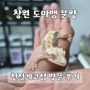 파충류샵친절게코샵 | 창원 도마뱀 분양 | 파충류샵 친절게코샵 입양 후기