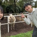 상경카서비스 | 제주 태교여행-1(임신 24주)