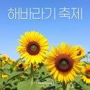 바람의 정원 | 제주는 지금! 해와 바람의 정원, 해바라기 꽃길 축제 중