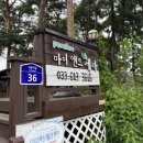 마이앤트세라 이미지