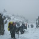 500065 Daum카페