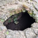 선흘별숲 이미지