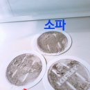 이사철 이사청소만큼 중요한 매트리스 청소 정보 공유