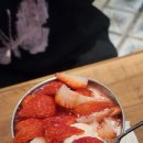 담금 젤라또 이미지