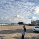 버킷 | 가을 신상 마스케라 모자 플로니 리오셀 블렌디드 버킷햇 후기