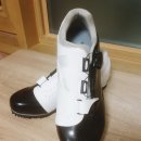 자이언트파마 이미지