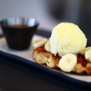 멍스타애견 이미지