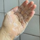 두피각질케어 볼빅 미토코리아 탈모 샴푸 추천 후기