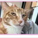 아이조아 요양보호소 서울점 이미지