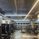 머슬팩토리 하단점 이미지