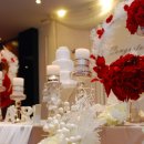 골드코리아 이미지