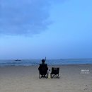 공현진가리비