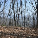 복장리 마을회관 이미지