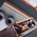 잔다냥 강동점 이미지