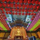 삼정사 Daum카페
