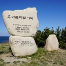 호미의꿈 이미지