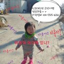 다정통닭집
