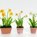 플로리스트(A) 이미지