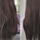 도연헤어샵 네이버블로그