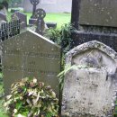 메리워드 이미지