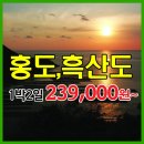 수협 앞 교통섬 이미지