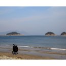 여수몽돌 이미지