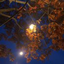 별보다카페 이미지