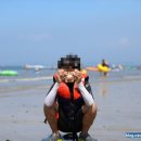 서울특별시교육청학생교육원 이미지