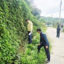백일태양광 네이버블로그