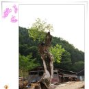 선바위농원 이미지