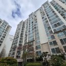 화정마을4단지 아이파크가야(현대) | [김해방충망] 삼계동 가야아이파크 방충망 교체 : 22년 된 유리섬유망의 위험성과 미세방충망의 필요성