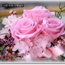 우리들의보물창고 이미지