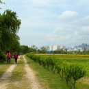 산책가는날 이미지