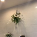 김지윤스튜디오 이미지