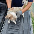 홍성여중 정문 이미지