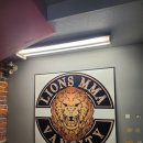 [캐나다 어학연수] #117, 118 밴쿠버 Lions mma 복싱, 주짓수 도전 | 유학원의 현실 | 맥아더글렌아울렛