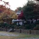 오빠수산 이미지