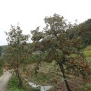 대곡마을회관 이미지