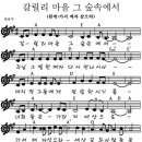 갈릴리A 이미지