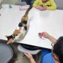 김선경미용실 | 2023년 7월 넷째 주 주간 기록/ 아틸리싸이