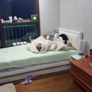 아토와토토