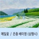 메밀꽃 / 삼행시 (은총 배미영) 이미지