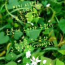 향기피아노교습소 Daum카페
