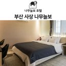 나무늘보호텔 이미지