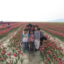 고인돌작은도서관 이미지