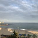 백도 SEA 이미지