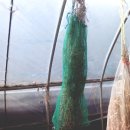 안산이농장 이미지